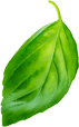basil